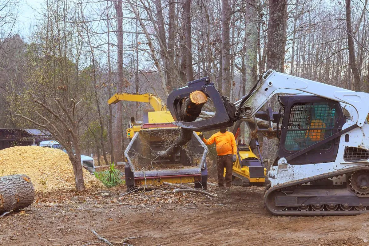 Crew feeding a log into a wood chipper with a tracked loader during tree removal